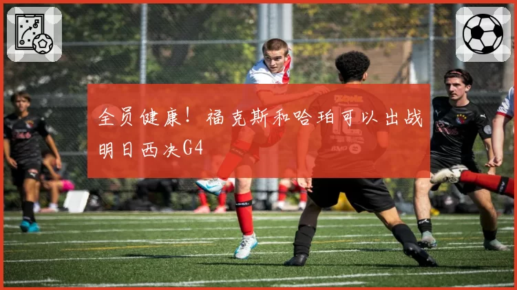 全员健康！福克斯和哈珀可以出战明日西决G4