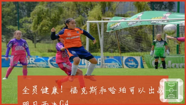全员健康！福克斯和哈珀可以出战明日西决G4