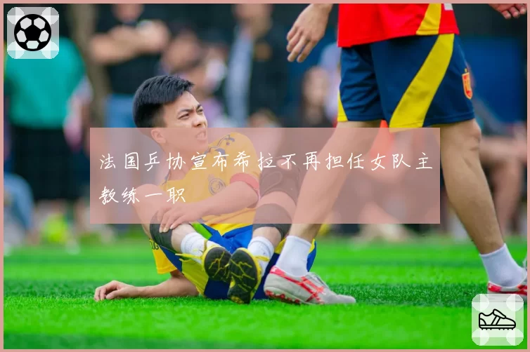 法国乒协宣布希拉不再担任女队主教练一职