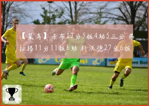 【菜鸟】卡布17分5板4助5三分 弗拉格11分11板6助 科沃德27分6板