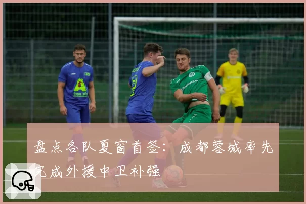 盘点各队夏窗首签：成都蓉城率先完成外援中卫补强