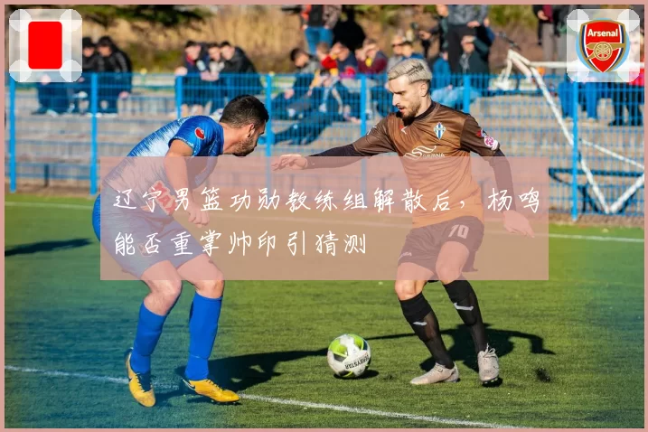 辽宁男篮功勋教练组解散后,杨鸣能否重掌帅印引猜测